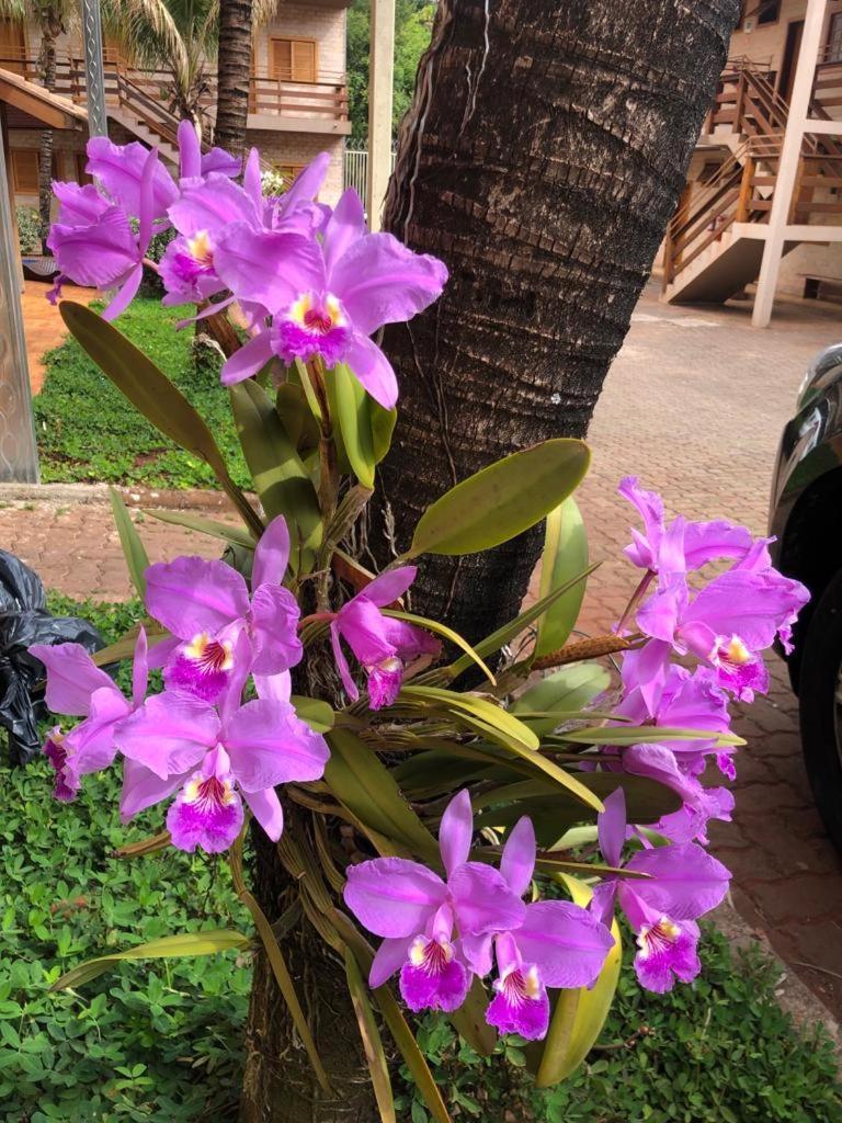Hotel Pousada Santa Rita ฮิเบเราเปรโต ภายนอก รูปภาพ