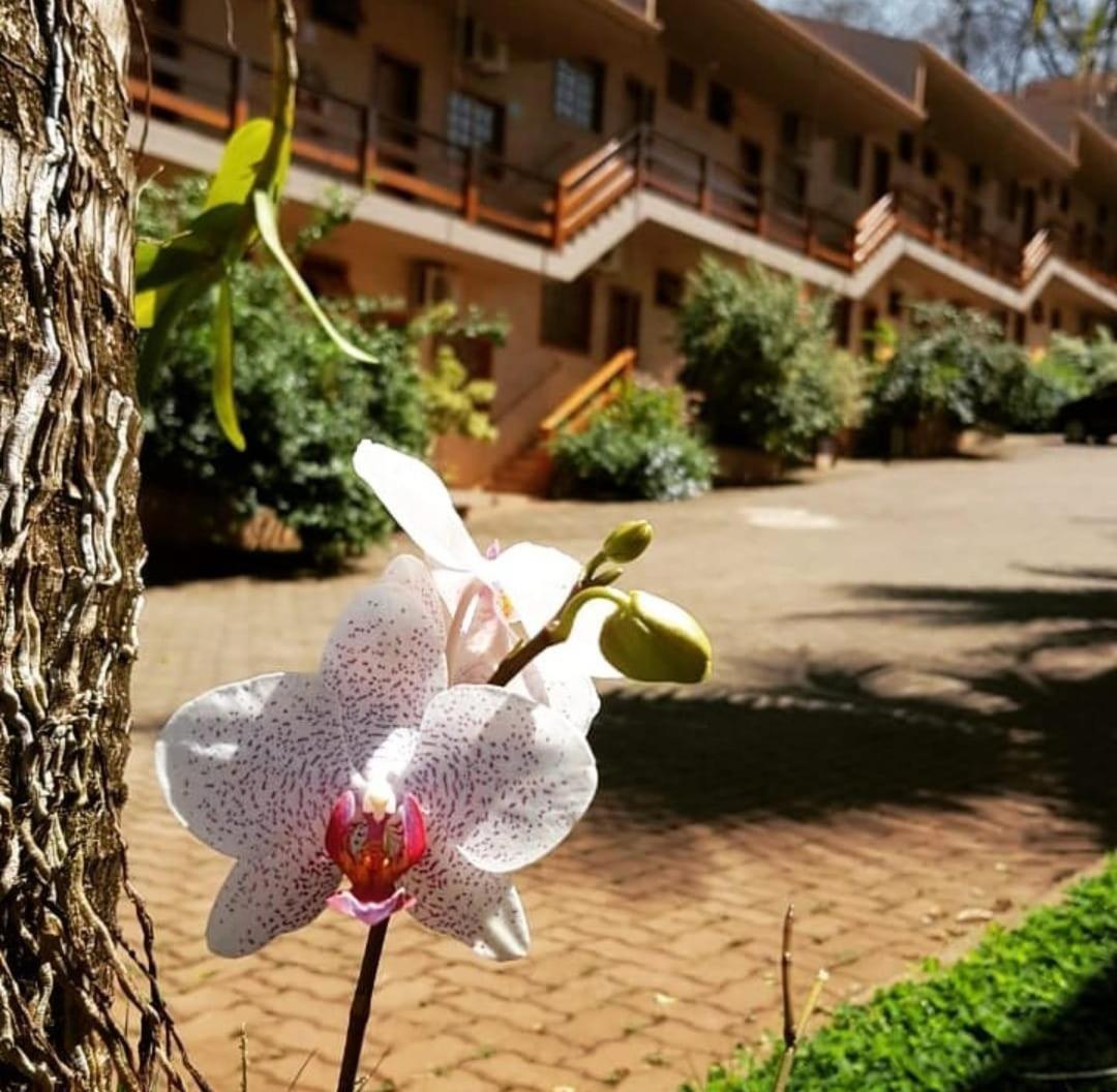 Hotel Pousada Santa Rita ฮิเบเราเปรโต ภายนอก รูปภาพ
